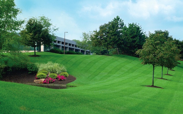 Atlanta Commercial Lawn Maintenance Company